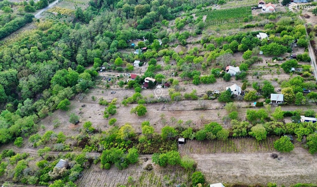 Prodej zahrady 985 m², Dolní Kounice – náhled fotky 6