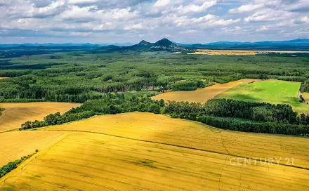 Prodej stavebního pozemku 2 500 m², Bělá pod Bezdězem, okres Mladá Boleslav