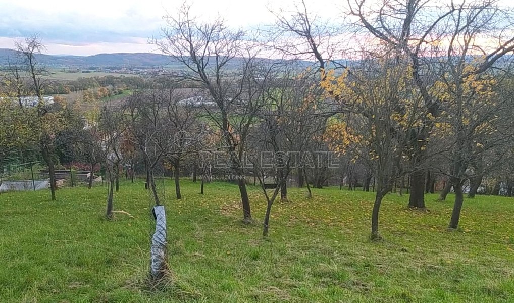 Prodej zahrady 3 492 m², Přílepy – náhled fotky 5