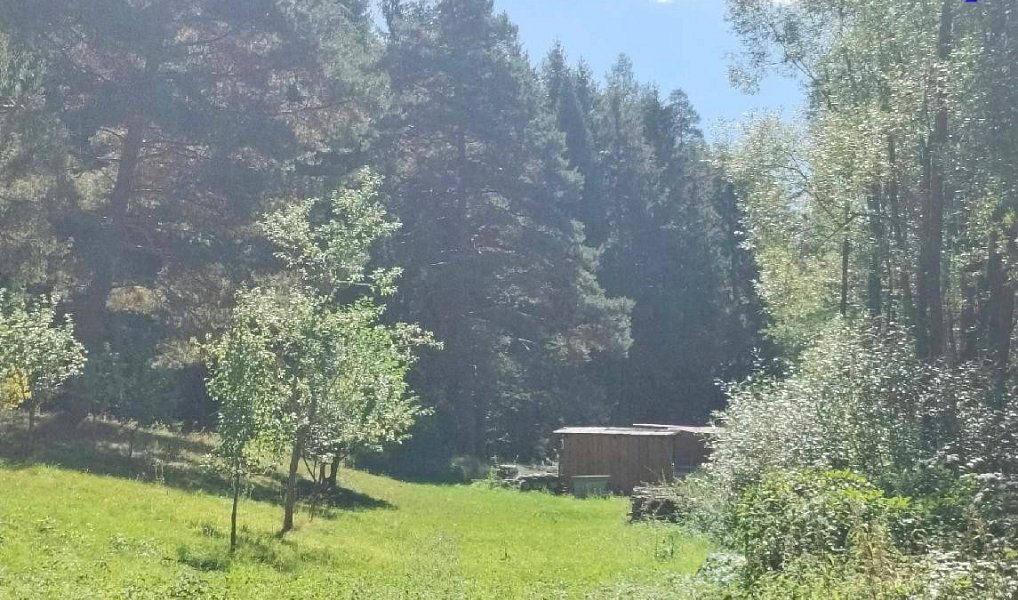 Prodej stavebního pozemku 2 607 m², Vyšší Brod – náhled fotky 5