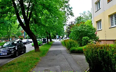 Pronájem bytu 2+1 56 m²