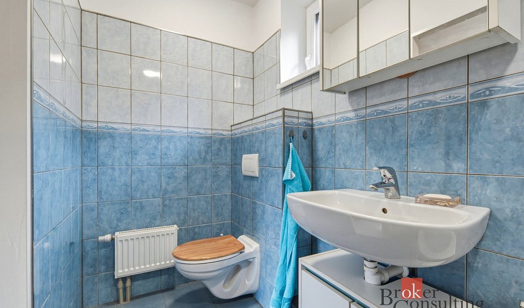 Prodej domu 180 m² s pozemkem 1 396 m², Počedělice – náhled fotky 6