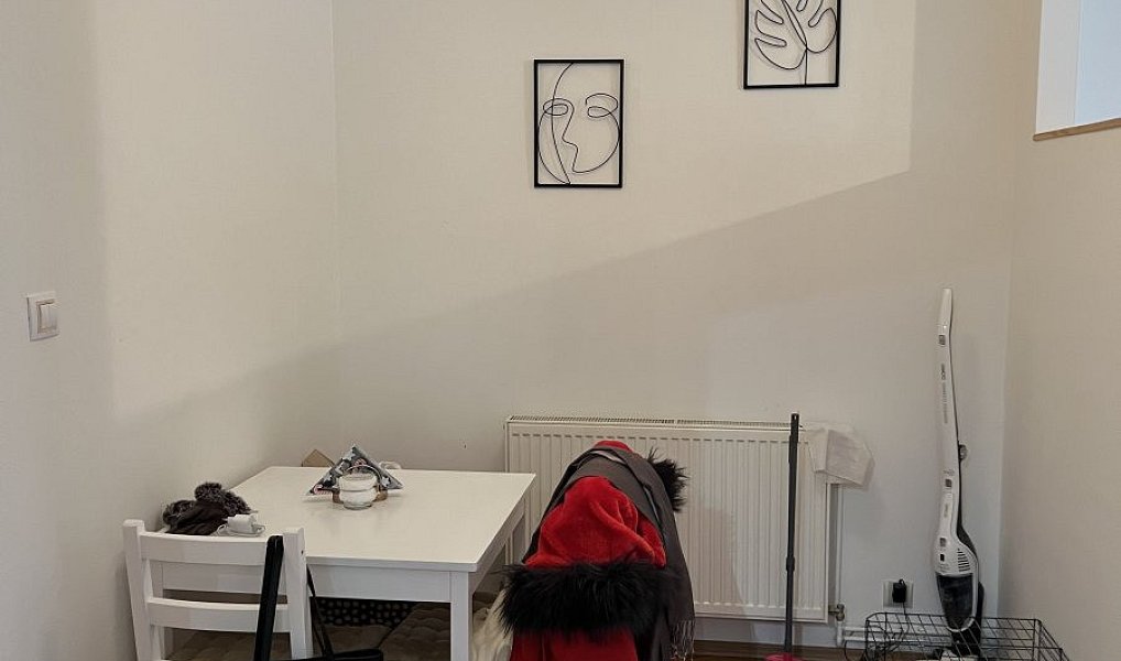 Pronájem bytu 2+kk 55 m², Plzeň – náhled fotky 5