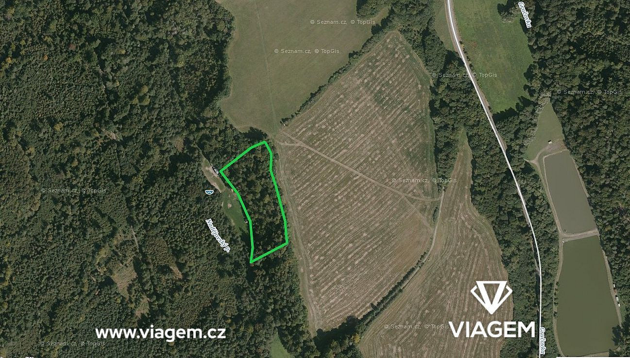 Prodej lesa 1 868 m²