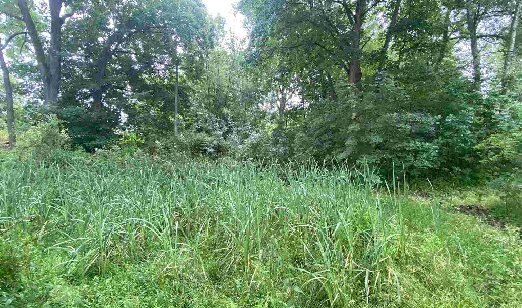 Prodej pozemku 1 993 m², Březová – náhled fotky 3