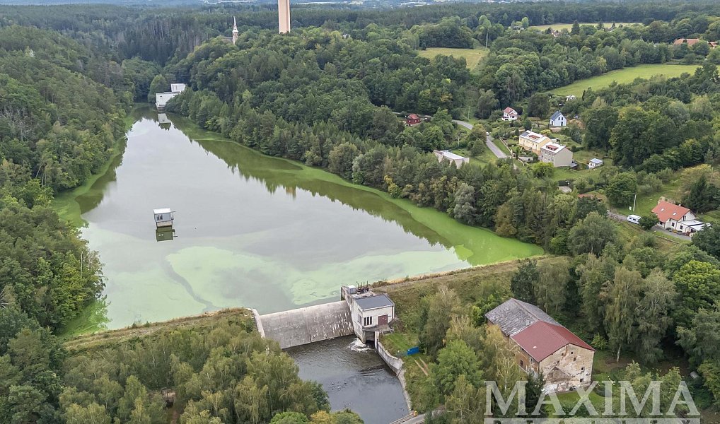 Prodej domu 765 m² s pozemkem 1 823 m², Svídnice – náhled fotky 11