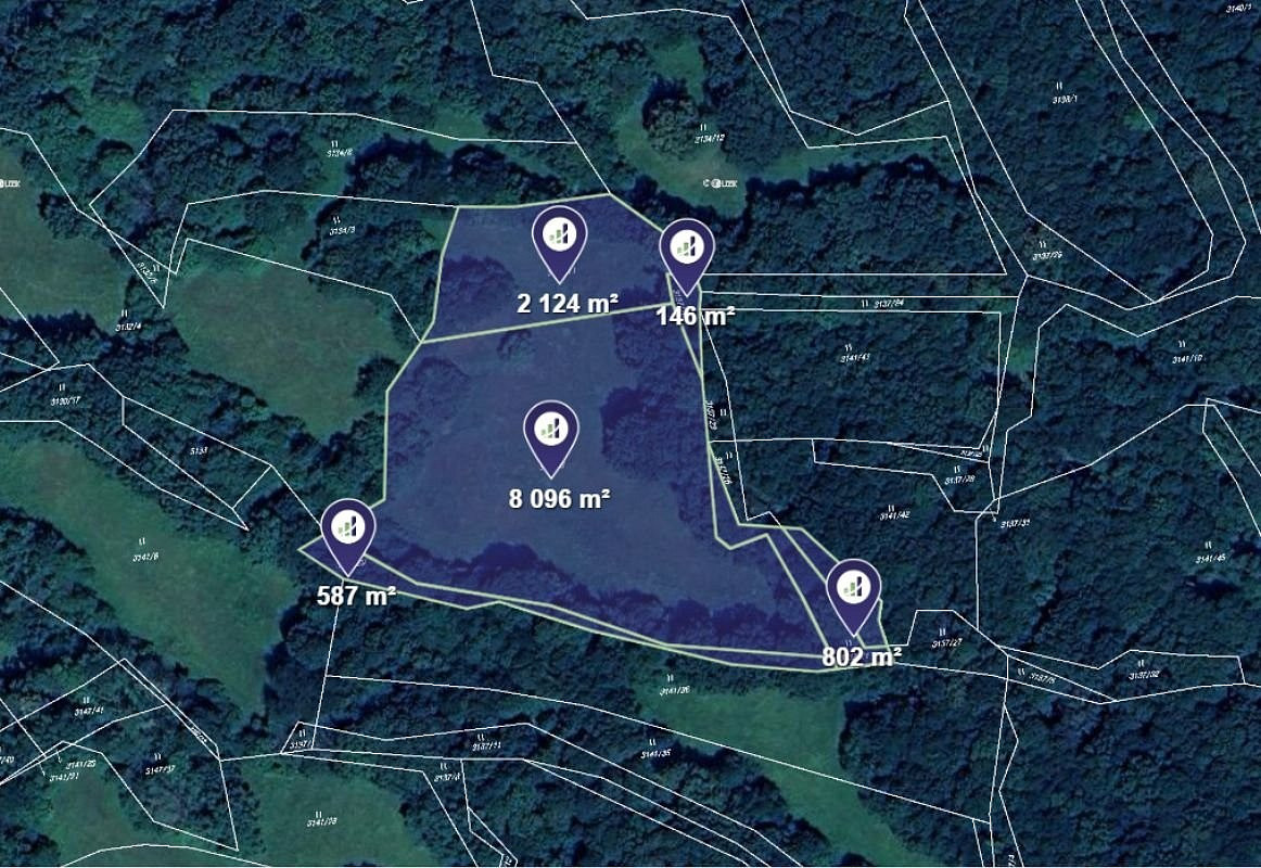 Prodej louky 2 939 m²