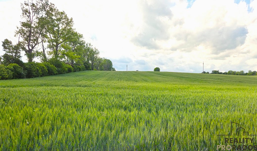 Prodej pole 2 649 m², Kyjov – náhled fotky 2