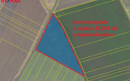 Prodej pole 40 299 m², Kněžice, okres Nymburk