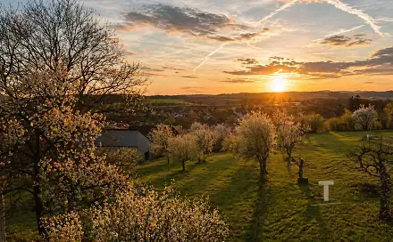 Prodej stavebního pozemku 1 200 m², Bořitov, okres Blansko
