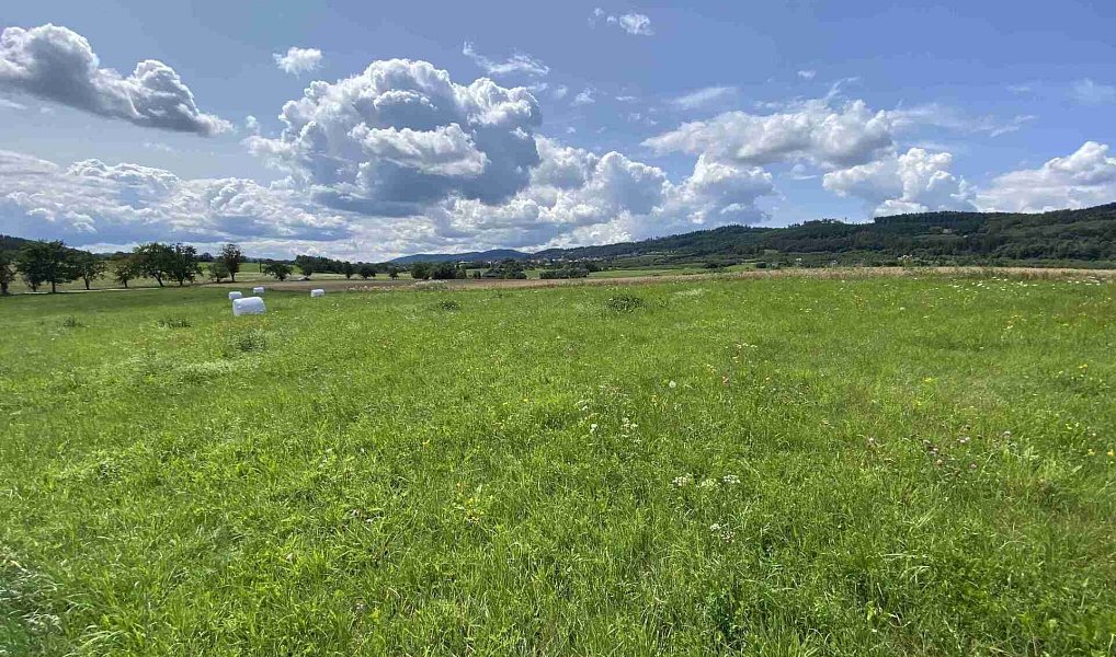 Prodej pole 55 481 m², Lhenice – náhled fotky 11