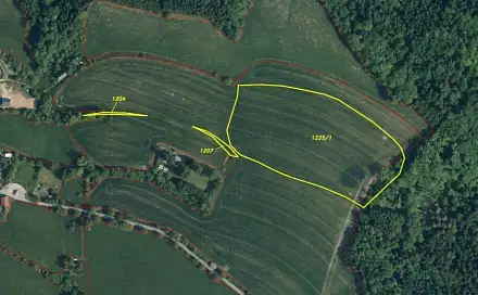 Dražba louky 28 066 m², Bozkov