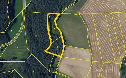Prodej lesa 5 622 m², Vranová, okres Blansko