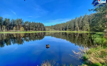 Prodej vodní plochy 16 545 m², Trstěnice, okres Cheb