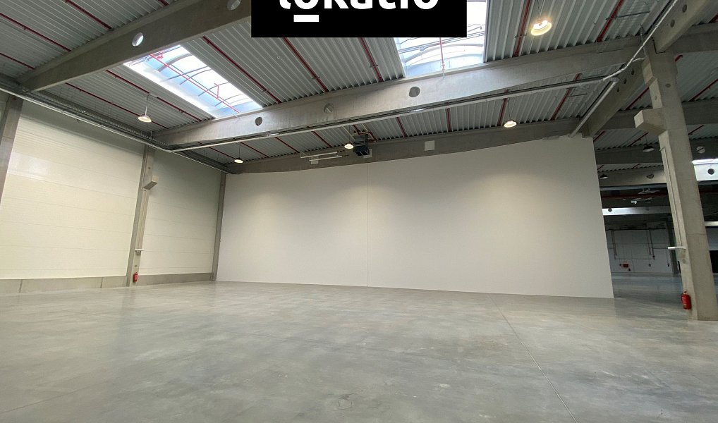 Pronájem skladovacích prostor 686 m², Mikulov – náhled fotky 3