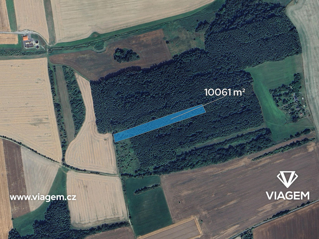 Prodej lesa 7 545 m² – fotografie 2