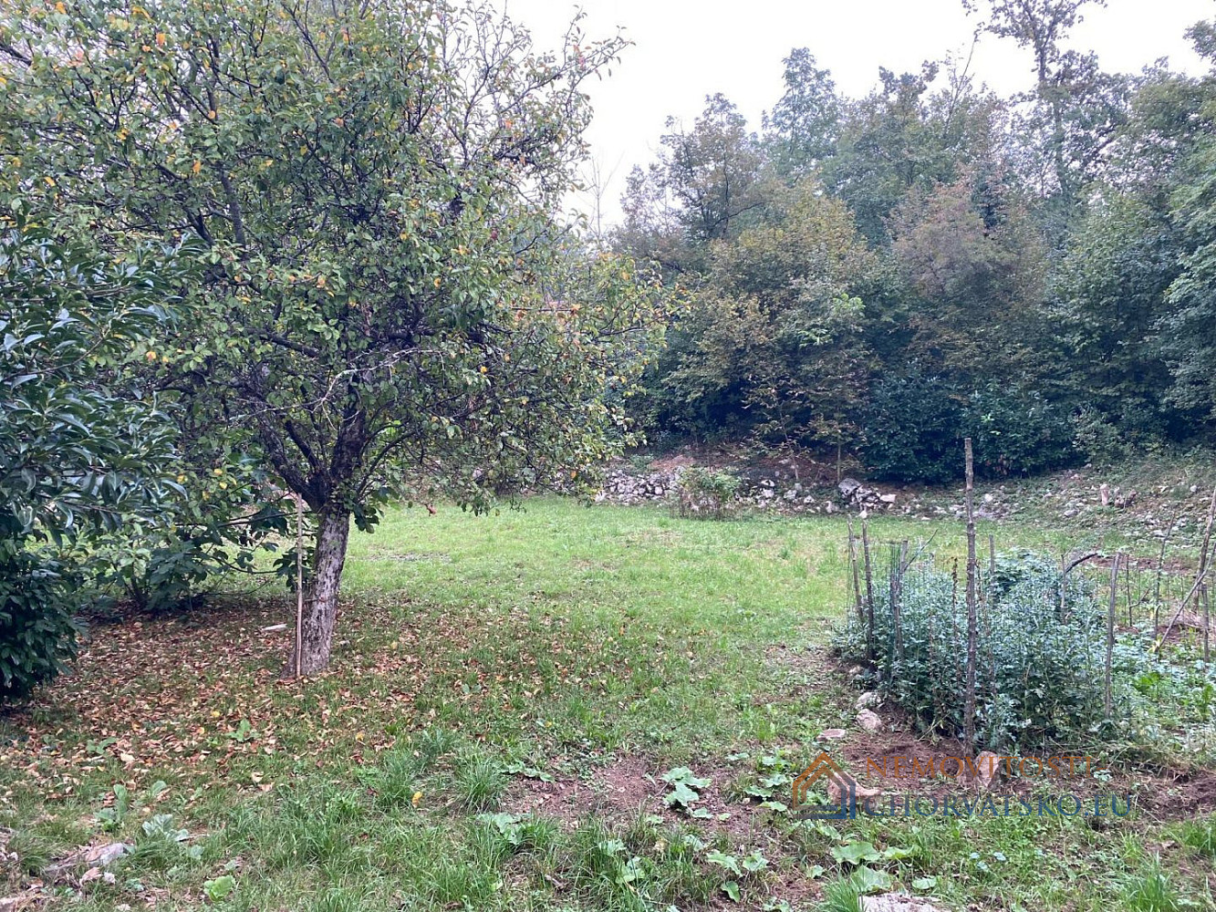 Prodej stavebního pozemku 3 095 m² - Widok 5