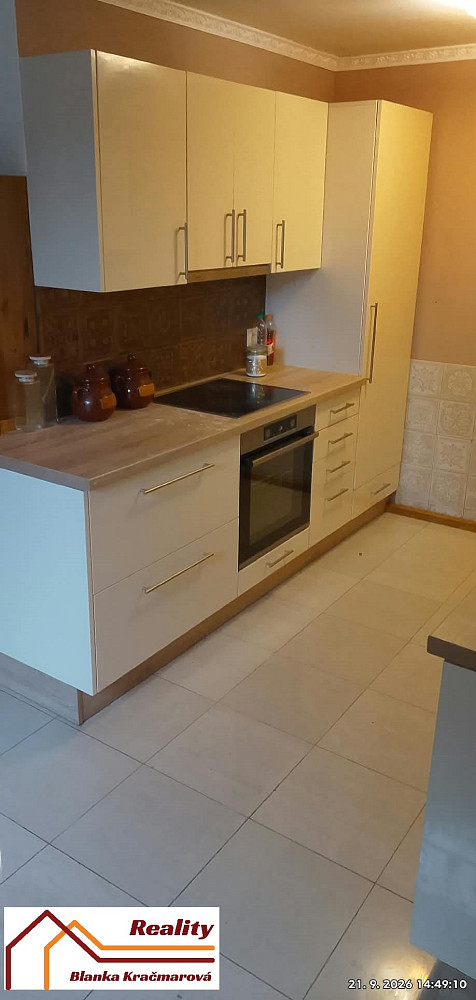 Prodej domu 300 m² s pozemkem 1 830 m² – fotografie 4