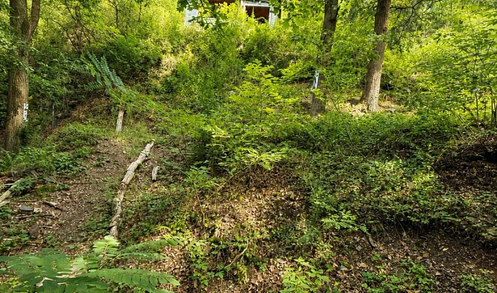 Prodej chaty/chalupy 32 m² s pozemkem 1 313 m², Zdiby – náhled fotky 8