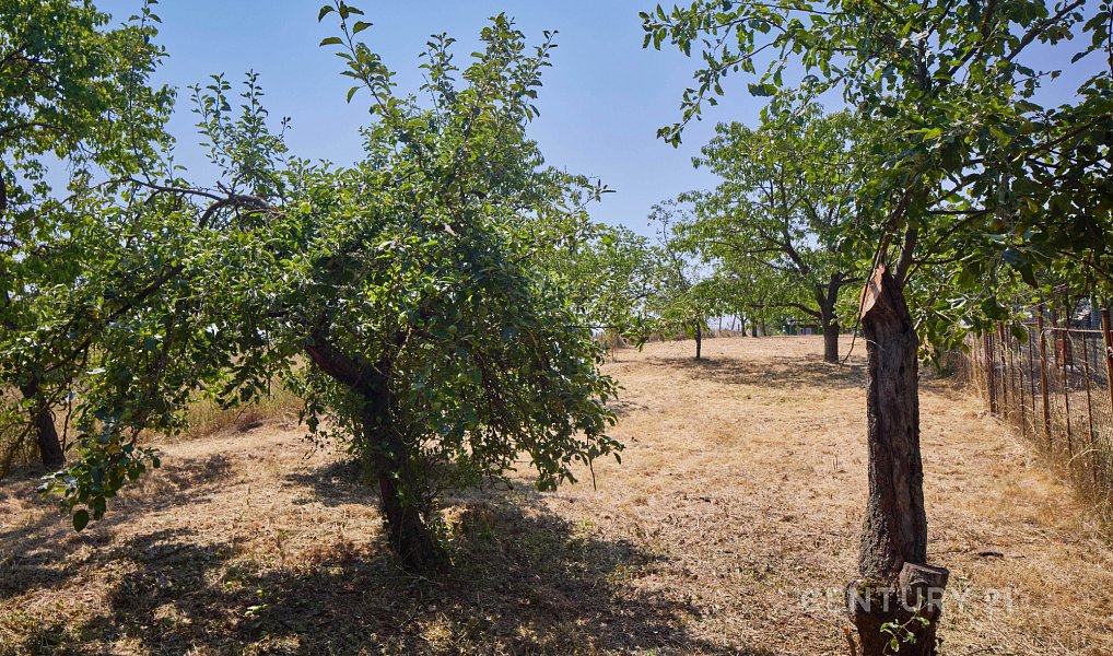 Prodej zahrady 1 034 m², Suchohrdly – náhled fotky 4