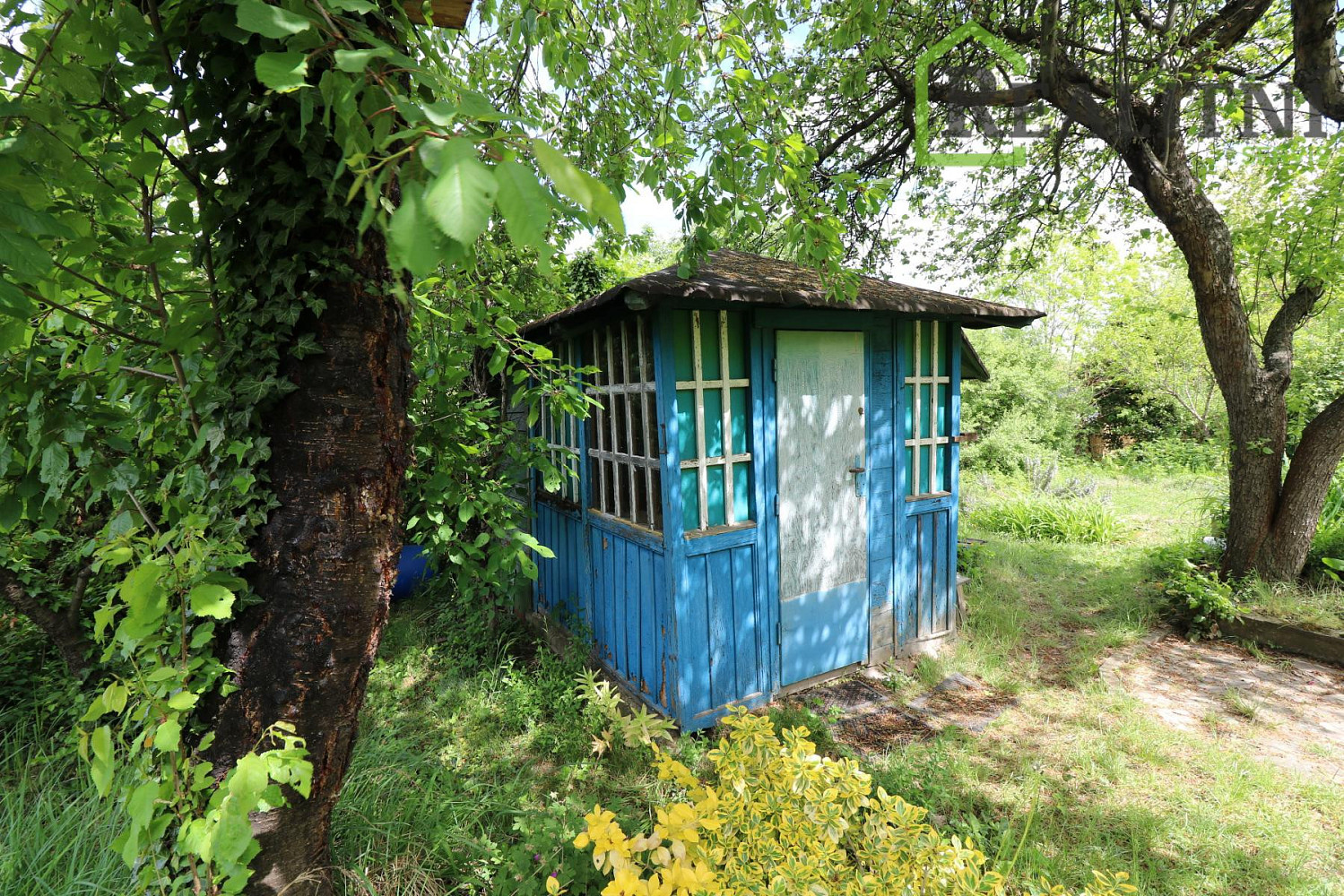 Prodej chaty/chalupy 7 m² s pozemkem 169 m² – fotografie 5