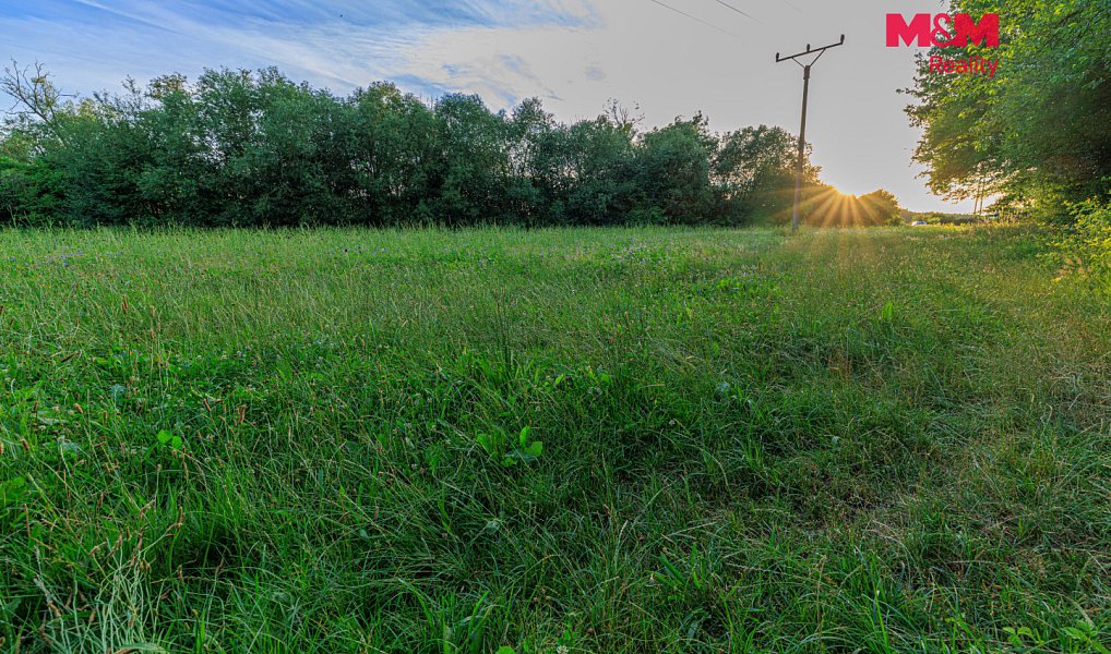 Prodej louky 4 590 m², Horní Bříza – náhled fotky 10