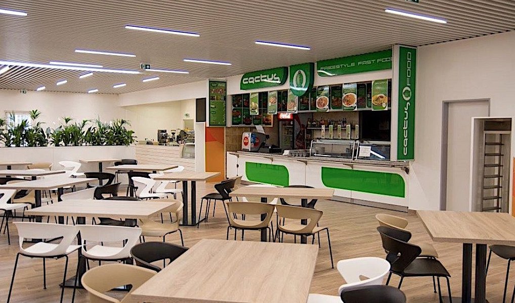 Pronájem obchodních prostor 252 m², Ostrava – náhled fotky 8
