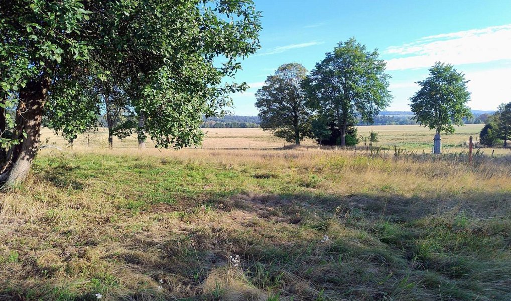 Prodej stavebního pozemku 842 m², Libá – náhled fotky 4