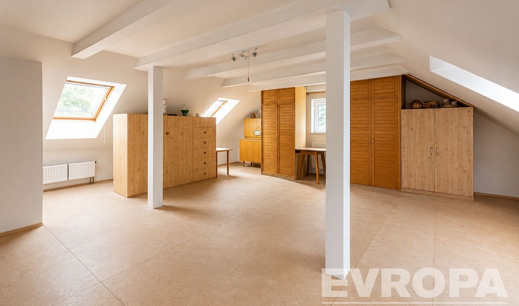 Prodej domu 298 m² s pozemkem 1 166 m², Nová Ves pod Pleší – náhled fotky 14