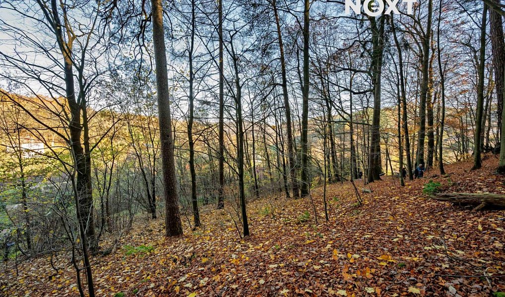 Prodej stavebního pozemku 3 487 m², Malá Skála – náhled fotky 7