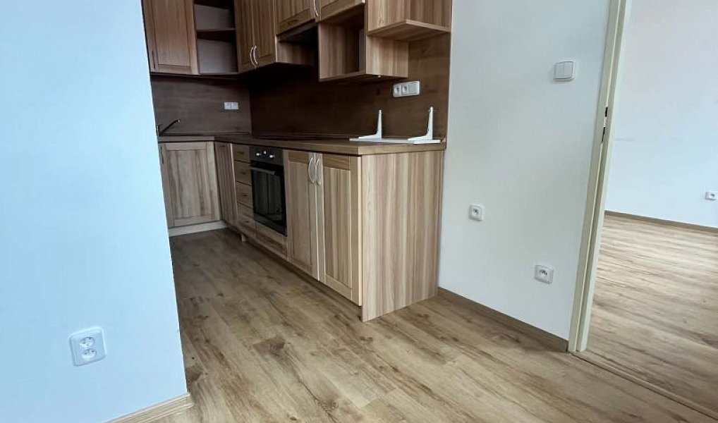 Pronájem bytu 2+kk 45 m², Horní Benešov – náhled fotky 4