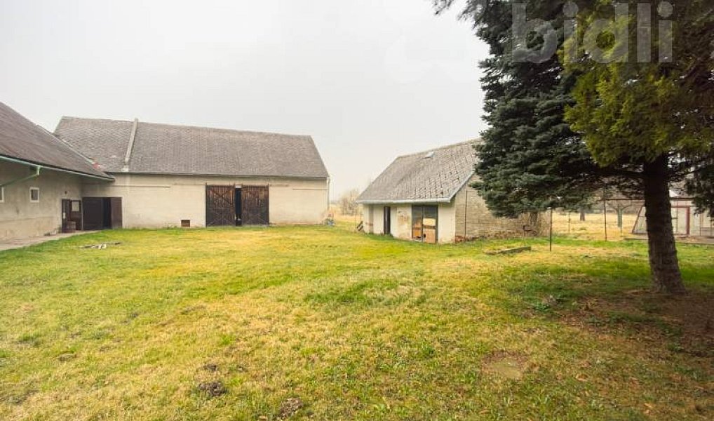 Prodej domu 160 m² s pozemkem 6 797 m², Javorník – náhled fotky 17