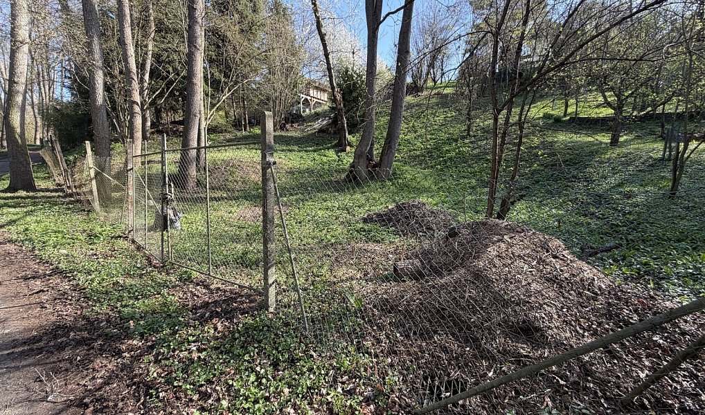 Prodej chaty/chalupy 25 m² s pozemkem 733 m², Uherský Brod – náhled fotky 4