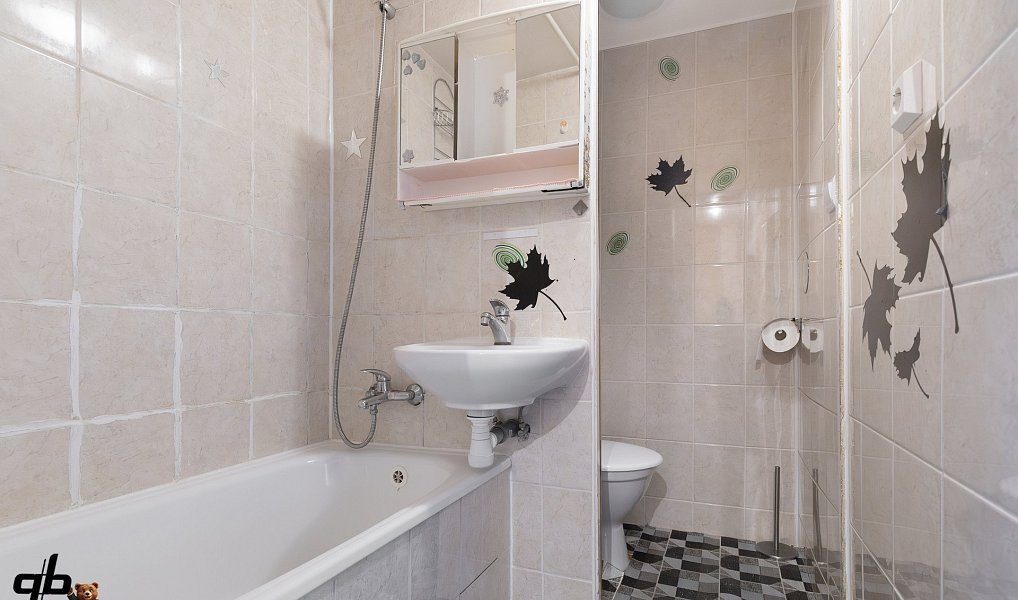 Prodej bytu 1+1 27 m², Frýdek-Místek – náhled fotky 7