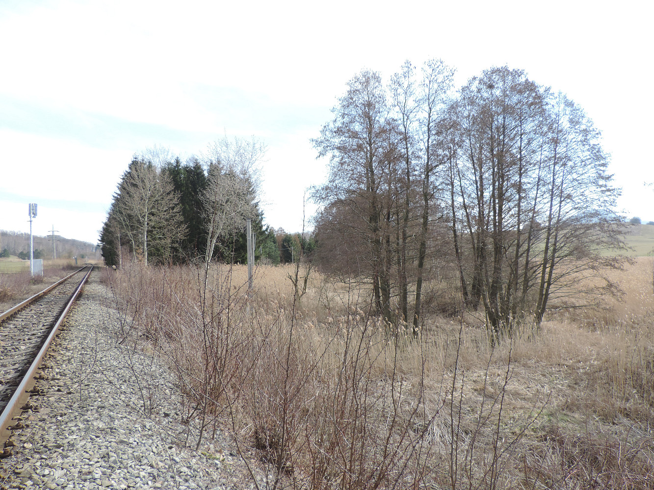 Prodej pozemku 3 690 m² – fotografie 2