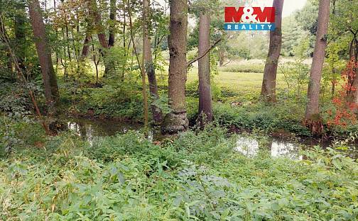 Prodej louky 1 741 m², Bystřice, okres Benešov
