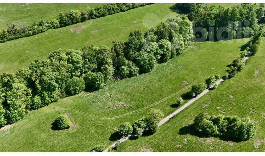 Prodej louky 7 411 m², Nový Jičín – náhled fotky 3