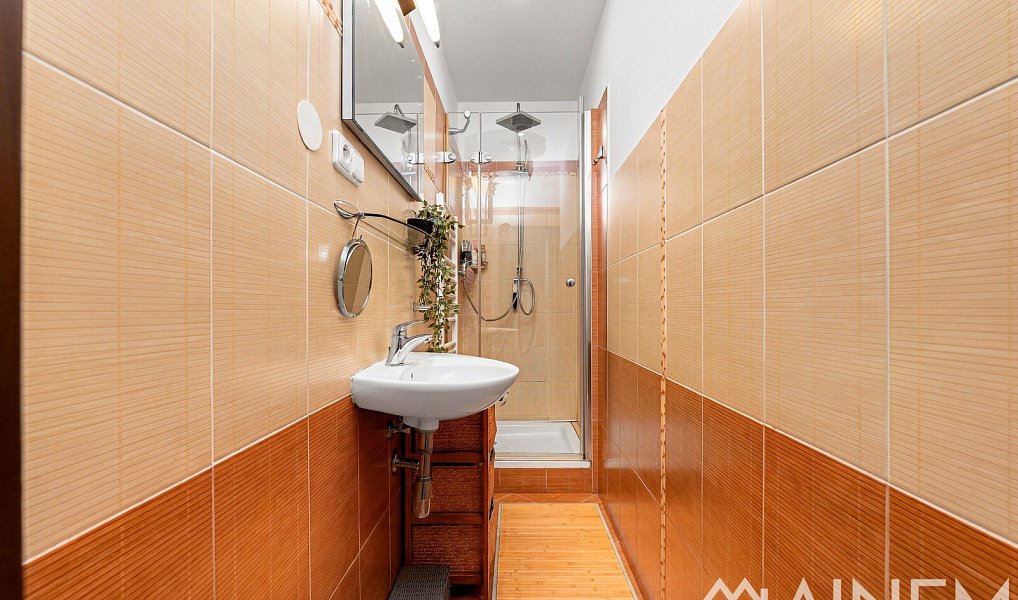 Prodej bytu 1+1 49 m², Plzeň – náhled fotky 9