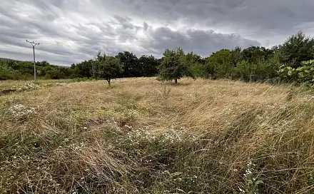 Prodej zahrady 3 447 m², Oslavany - Padochov, okres Brno-venkov