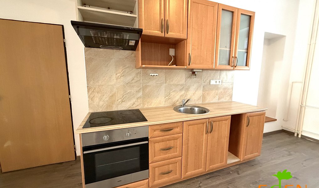 Pronájem bytu 2+kk 50 m², Plzeň – náhled fotky 2