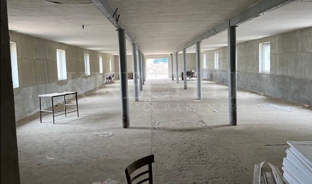 Pronájem výrobních prostor 5 626 m², Pavlov – náhled fotky 2