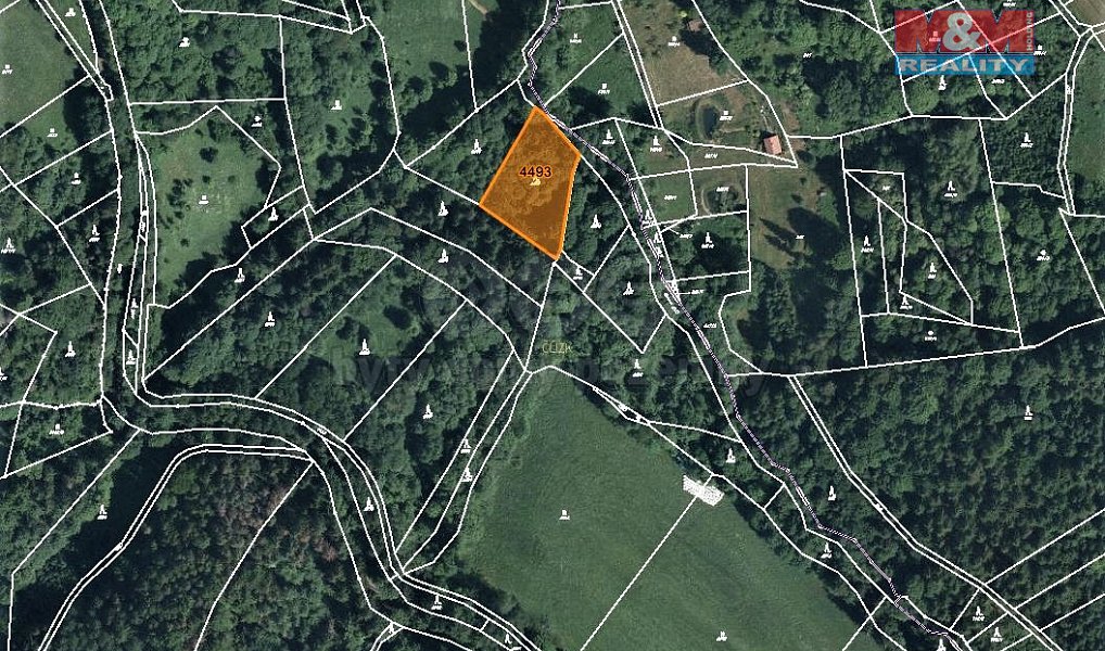 Prodej lesa 2 062 m², Koberovy – náhled fotky 7