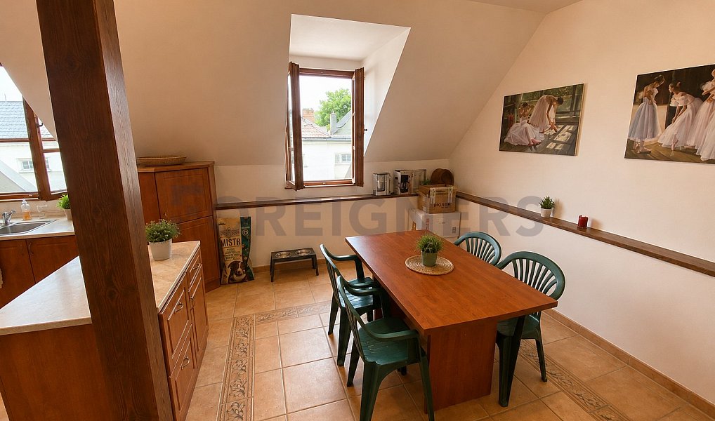 Pronájem bytu 4+kk 162 m², Olomouc – náhled fotky 4
