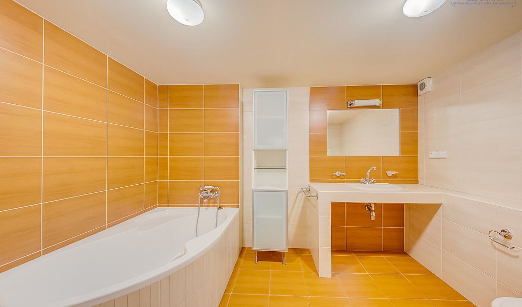Prodej domu 268 m² s pozemkem 580 m², Dobříš – náhled fotky 14