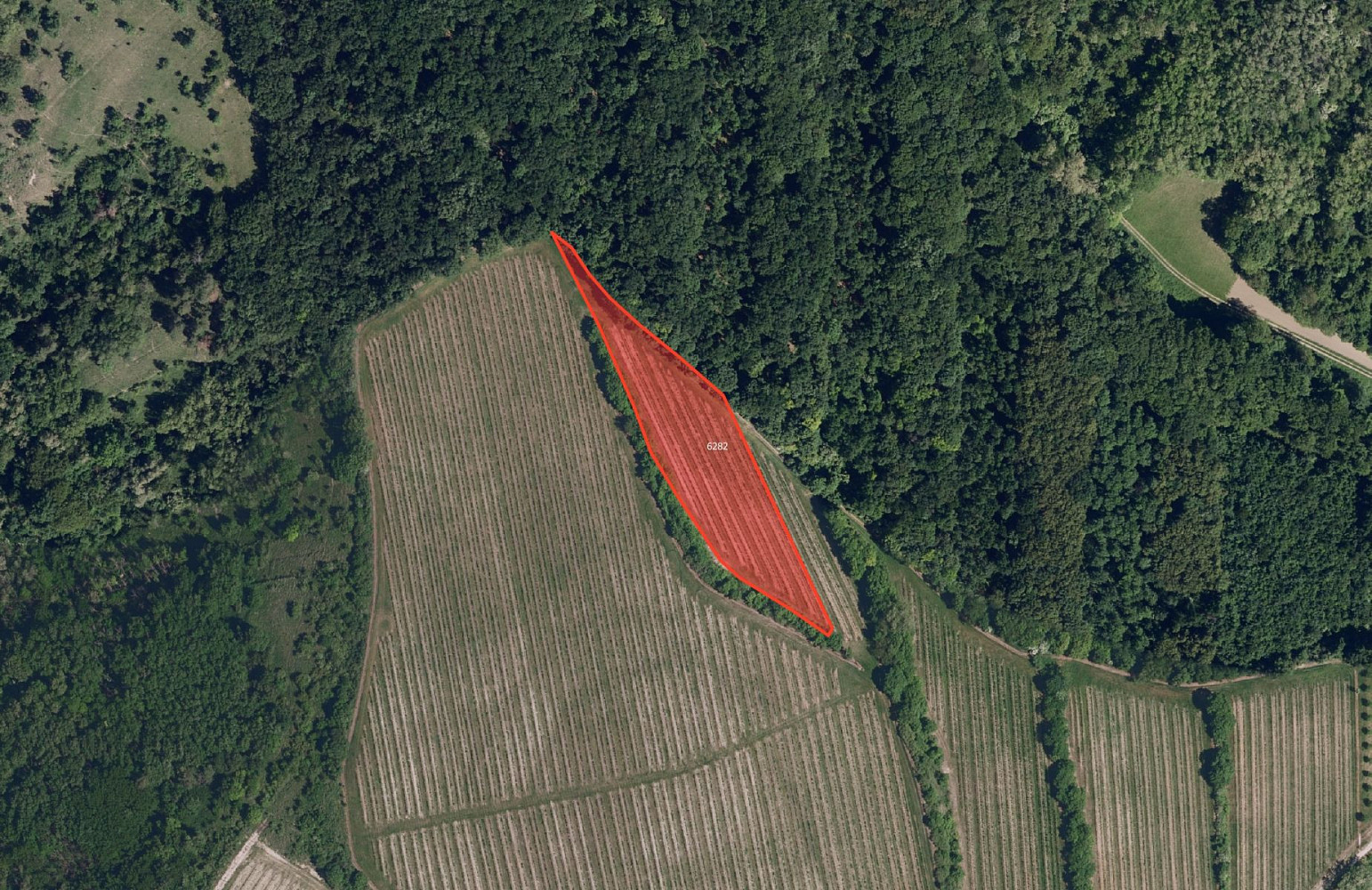 Prodej pole 33 801 m² — photo 2