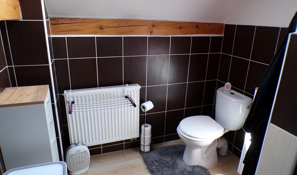 Prodej domu 205 m² s pozemkem 6 330 m², Čestín – náhled fotky 16