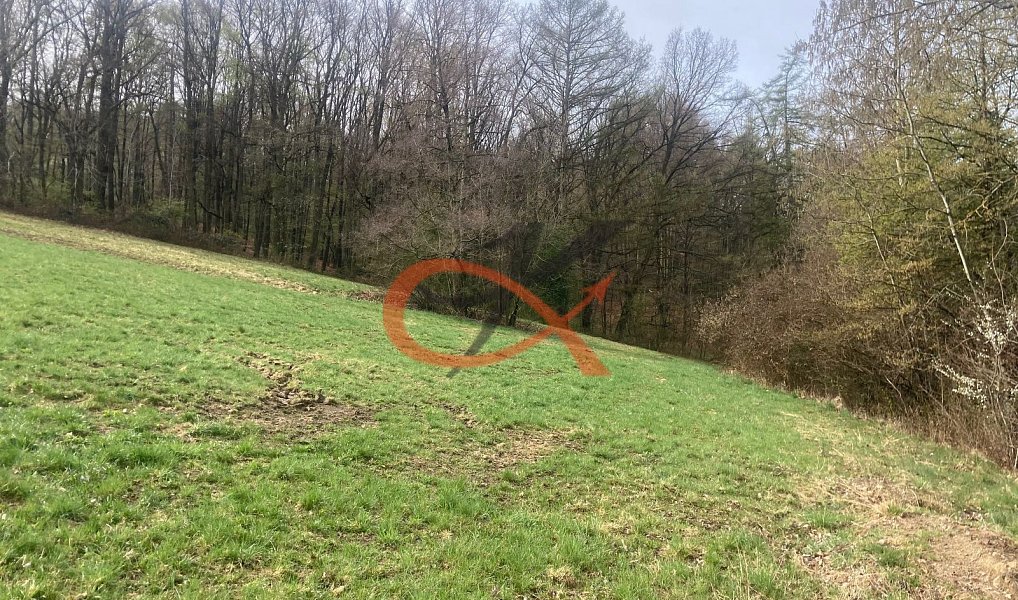 Prodej stavebního pozemku 9 208 m², Háj ve Slezsku – náhled fotky 16