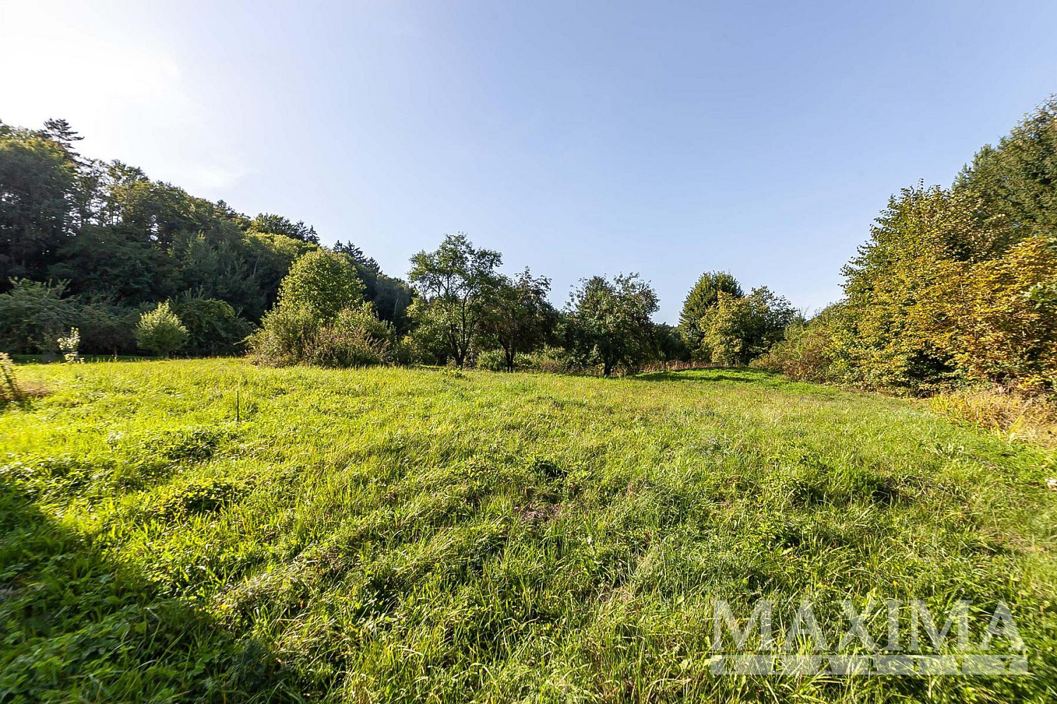 Prodej stavebního pozemku 3 738 m² – fotografie 4