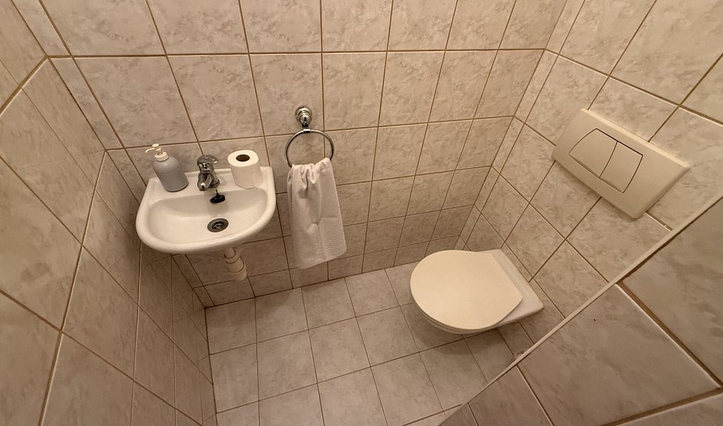 Prodej domu 156 m² s pozemkem 200 m², České Budějovice – náhled fotky 13