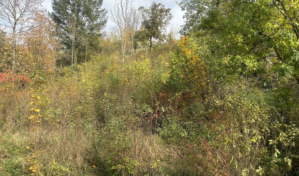 Prodej stavebního pozemku 1 100 m², Beroun – náhled fotky 3